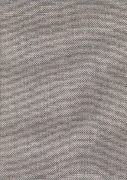 Plaster