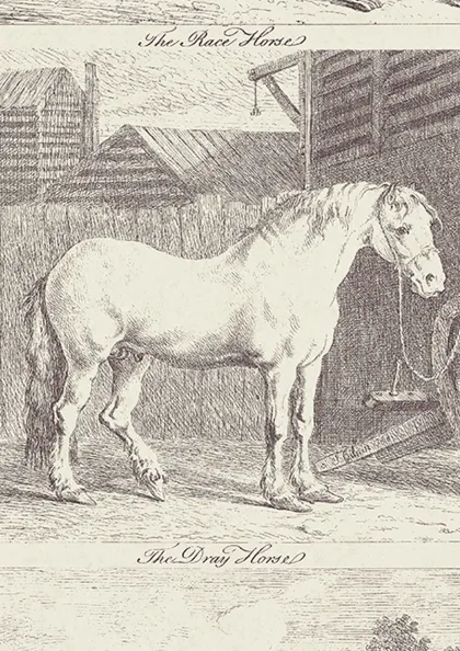 Saddling Brown