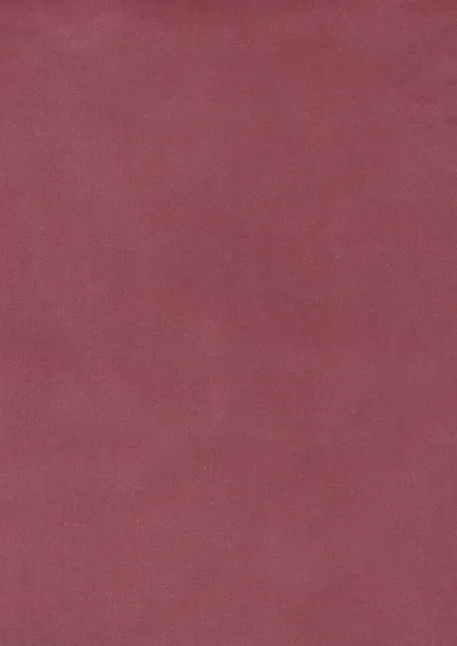 Tricia Pink